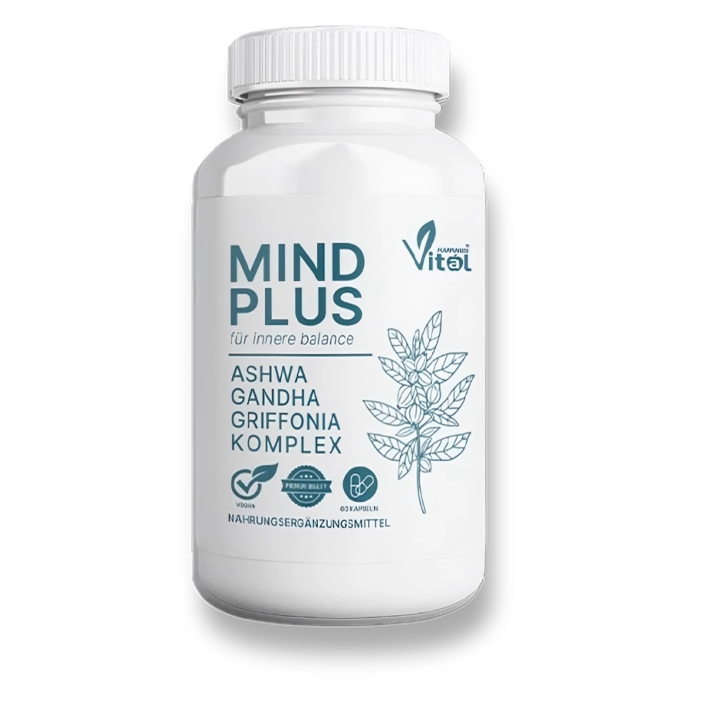 MindPlus
